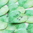 Stationery School Supplies Book Bookmarks Cute Notepad Notes Leaf Sticky