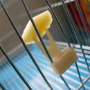 Food Holder For Bird Cage Parrot Bird Utensils Feeder Food Fork Bird Fruit Fork
