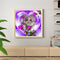 Oil Paint By Numbers Picture DIY Painting Rose Cat Painting Kit Acrylic Paint