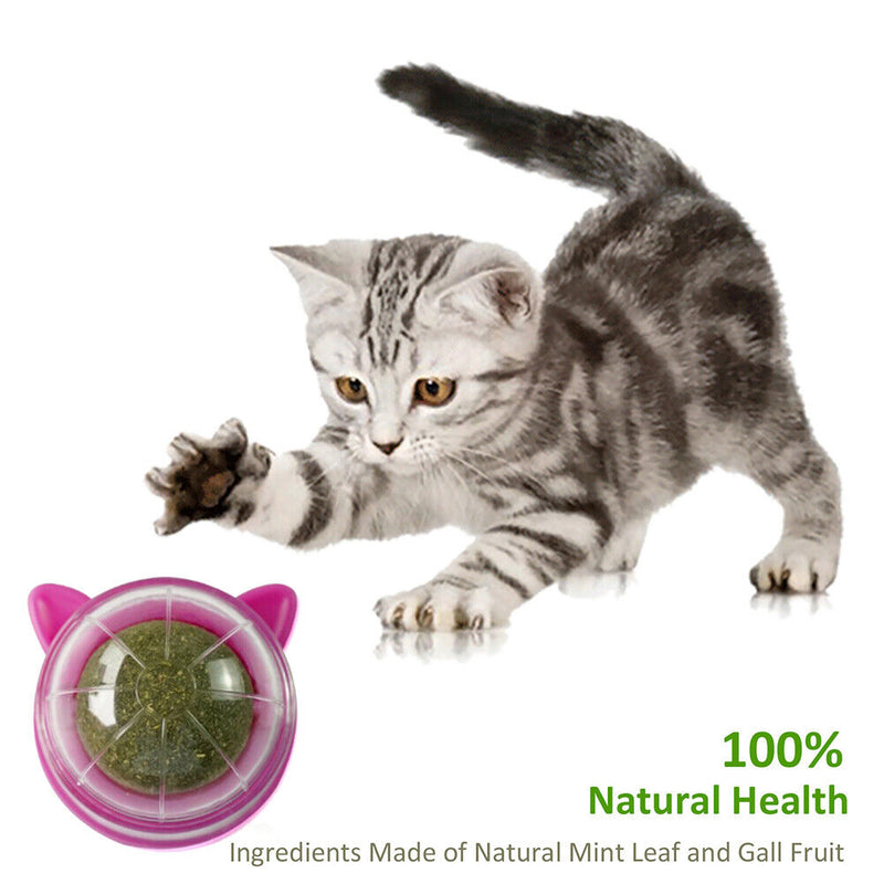 Catnip Ball Cat Toys Licking Teeth Chewing Pet Training Bite Balls (Purple)