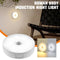 LED Night Light Motion Sensor Lights Wireless Rechargeable Cabinet Lamp FAST`