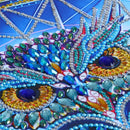 5D DIY Special Shaped Diamond Painting Bird Cross Stitch Embroidery Rhineston