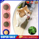 #A Funny Catnip Ball Set Cat Supplies Bite Resistance for Cats Over Six Months O