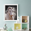 Fine Horse Oil Paint By Number DIY Acrylic Painting Home Decoration Wall Arts
