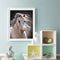 Fine Horse Oil Paint By Number DIY Acrylic Painting Home Decoration Wall Arts