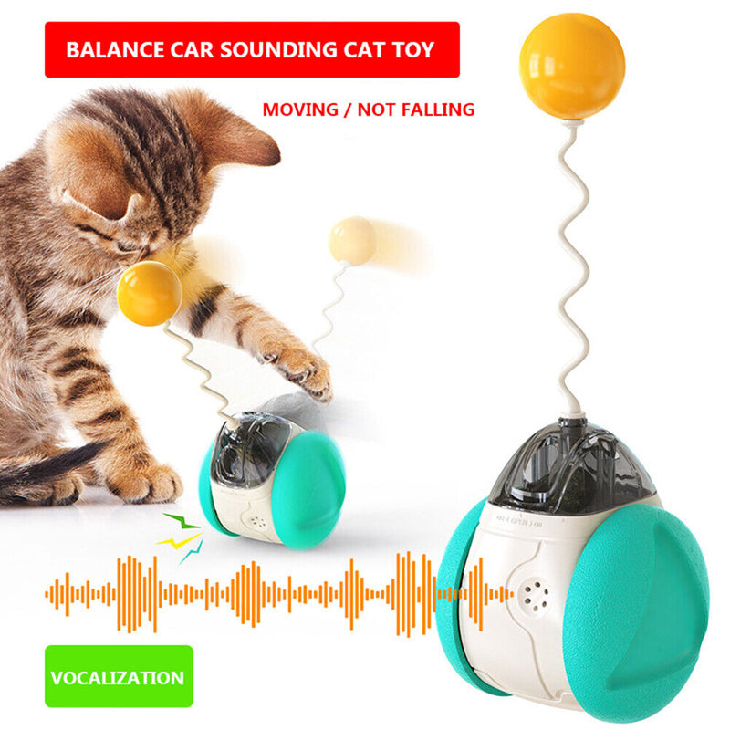 Cat Interactive Toys Swing Balance Body Colorful Sound Catnip Teaser Cat Pr