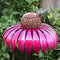 Metal Flower Bird Feeder Bottle Sensation Stand Coneflower Garden Decor