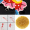 1200x DIY Beads Jewelry Making Crafts Needlework Embroidery Accessories Bracelet