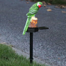 LED Solar Lights Parrot Waterproof Lawn Stakes Lamps Garden Decor (Green) Newly