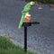 LED Solar Lights Parrot Waterproof Lawn Stakes Lamps Garden Decor (Green) Newly