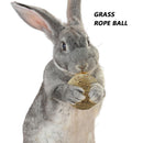 Small Animal Chew Grass Ball Pet Hamster Molar Tooth Clean Balls (Straw) Newly
