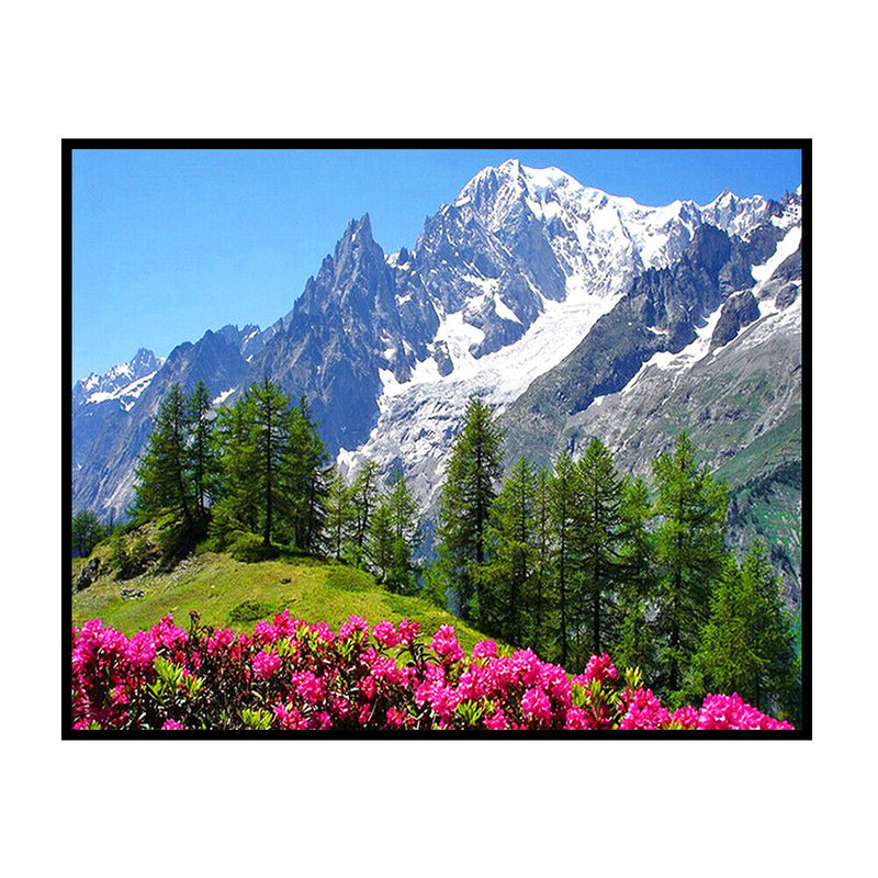 DIY Cotton Thread Art Mont Blanc Printed Full Cross Stitch Set Handicraft Gifts