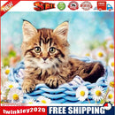 DIY Digital Oil Painting Kit Cat in Basket Abstract Acrylic Number Picture
