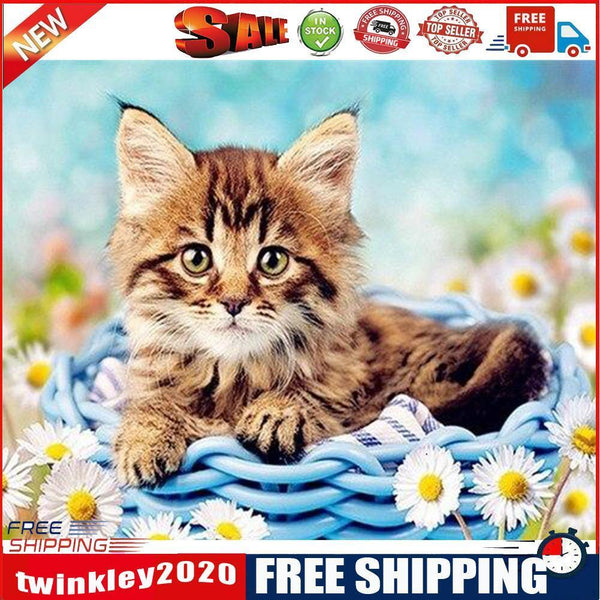 DIY Digital Oil Painting Kit Cat in Basket Abstract Acrylic Number Picture