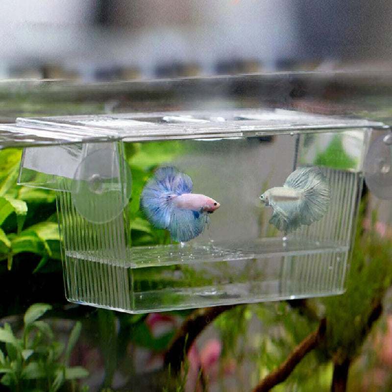 Transparent Acrylic Aquarium Incubator Fish Tank Insulation Box Hatchery Holder