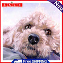 Handpainted DIY Pet Dog Oil Paint by Numbers Pictures Craft Kit Artwork Gift
