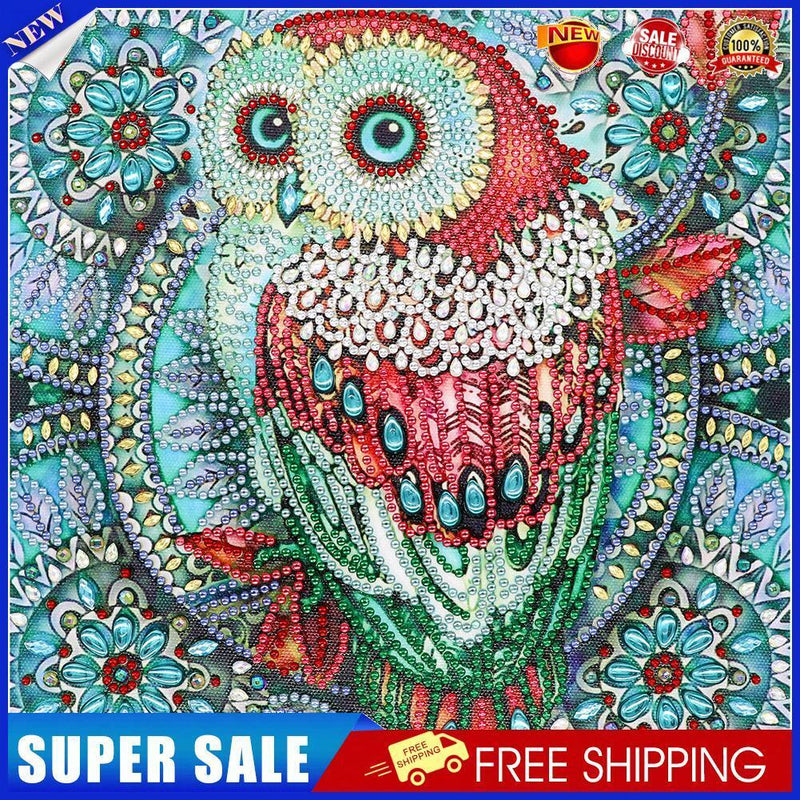 5D DIY Special Shaped Diamond Painting Owl Cross Stitch Mosaic Kit (R114)