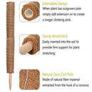Spliceable Plant Climbing Rod Coconut Palm Pole Climbing Vine Garden Support