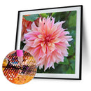 5D Full Round Drill Drawing Picture Pink Flower Diamond Painting Room Decor