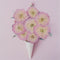 DIY Jewelry Making Decoration Crafts Sakura Pressed Flowers Real Dried Flowers