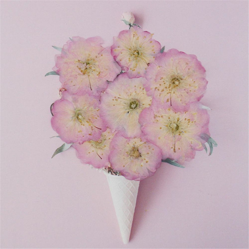 DIY Jewelry Making Decoration Crafts Sakura Pressed Flowers Real Dried Flowers