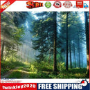 Painting By Numbers Kit DIY Wonderland Hand Painted Canvas Oil Art Picture