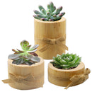 Wooden Potted Ornament Desktop Flowers Bonsai Candle Holder (JM01788) Newly