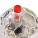 Cat Rolling Glowing Balls Electric Transparent Football Light Up Dog Interactive