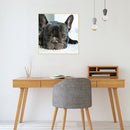 5D Diamond Painting Animal Full Square Rhinestone DIY Wall Home Decoration Gi
