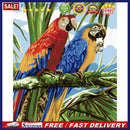 DIY Digital Oil Painting By Numbers Kits Two Parrots Animals Art Picture 40x5