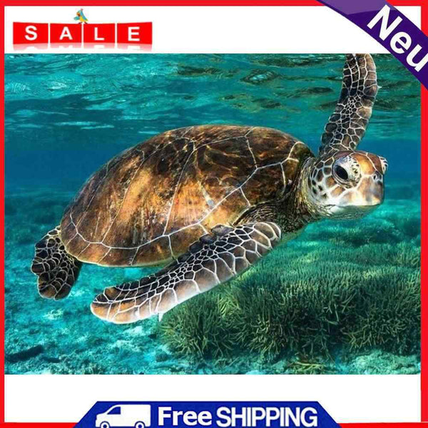DIY Hand Painted Paint By Numbers Oil Canvas Pictures Sea Turtle Kit Room Decor
