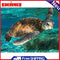 DIY Hand Painted Paint By Numbers Oil Canvas Pictures Sea Turtle Kit Room Decor