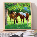 5D DIY Diamond Painting Kits Full Round Drill Animal Mosaic Picture Wall Decor