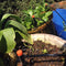 Water Irrigation Set Automatic Balcony Pot Micro Drip Watering System (5M)
