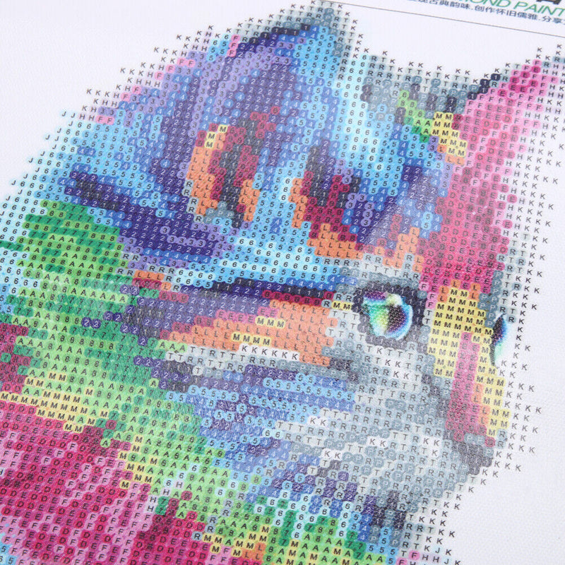 5D DIY Round Drill Diamond Painting Colorful Cat Cross Stitch Embroidery