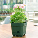 Plastic Home Plant Container Planter Flower Pots Plant Pot Succulent Box
