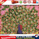 Diamond Painting Kit Open Peacock Partial Special Shape Drill DIY (up271) Newly