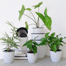Bonsai Automatic Water Absorbing Container Succulent Plant Balcony Flower Pot