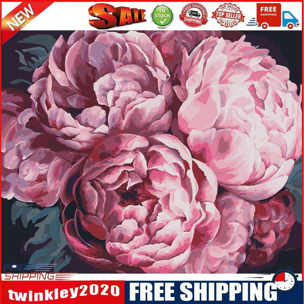 DIY Paint By Number Kit Pink Peony Flowers No Frame for Home Decoration Art