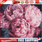 DIY Paint By Number Kit Pink Peony Flowers No Frame for Home Decoration Art