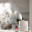 10ml/bottle Essential Oil for Humidifier Diffuser Aromatherapy Water-soluble Oil