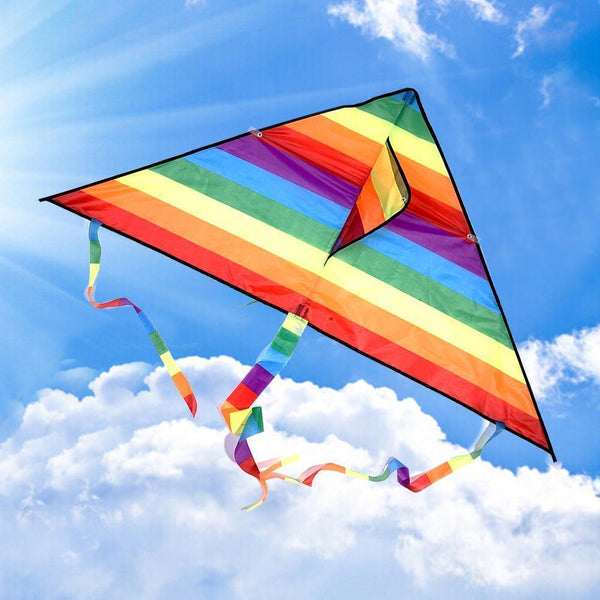 Large delta kite For kids and single adults line easy funny handle fly,kite W6S5