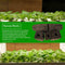 20x Soilless Hydroponic Sponge Planting Gardening Tools Sponge Seedling T9 E6B4