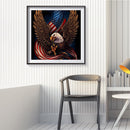 Eagle Flag Frameless DIY Oil Paint by Numbers Hand Painted Artistic Craft