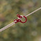 #A 10pcs Outdoor Camping Rope Paracord Cord Rope Stopper Adjustable Fixed Buckle