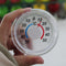 Pointer Plastic Outdoor Garden Home Graded Disc Thermometer for Window Door
