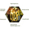 Retro Rope Fairy Lamps 8 Modes for Home Holiday Party (5m+solar energy)
