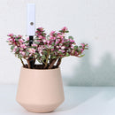 Water Shortage Reminder Soil Moisture Meter Hygrometer for Flower Potted