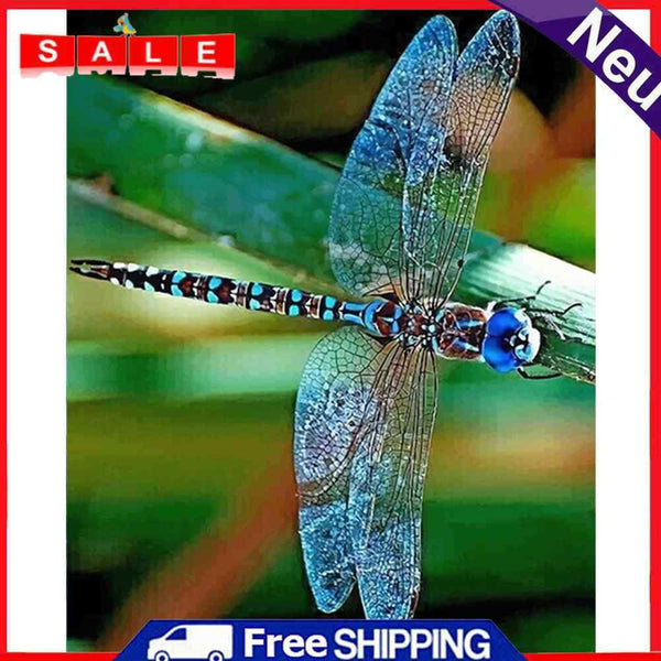 DIY Paint By Number Kit Colorful Dragonfly Acrylic Paint Art Craft Decor Gift