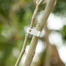 Tomato Support Hooks Set Plant Climbing J Hook with 33ft Twine with Tomato Clip